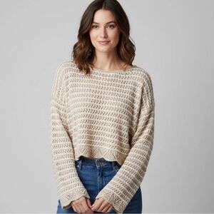 American Eagle Knit Sweater NWT Large